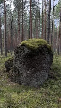 A massive rough grey boulder topped with a distinct patch of bright green moss Stock Photos