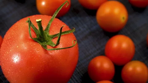 Massive Round Tomato Contrasted with Small Orange Cherry Tomatoes Rotation Vídeo Stock 344862144