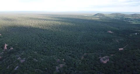 Massive Sandstone Cliffs and Caatinga Valley Aerial Pan, Serra da Capivara Stock Footage 321905856