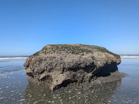 Massive sea stack covered in barnacles resting on a sandy Pacific beach Stock Photos