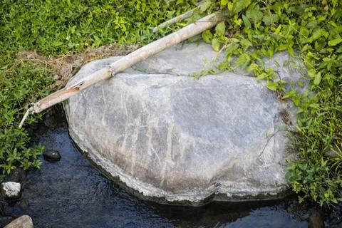 Massive Smooth Grey Boulder at the Edge of Water with Bamboo Stick and Gree.. Foto stock