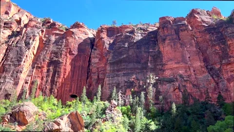 Massive striped cliffs tower over spring forest beneath clear blue sky. Red rock Stock Footage 305568186