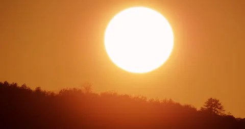 Massive Sun Timelapse, Setting Behind Dark Forest Silhouette Till NightFall 4K Video stock 320819528