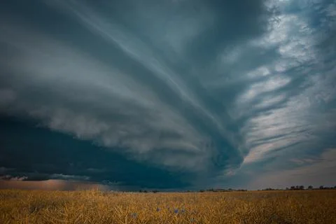 Massive Supercell Storm Clouds Rolling Over a Golden Field Stock Photos