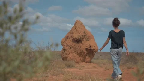 Massive Termite Nest Tower – Giant Termite Mound in Nature Stock Footage 316173904