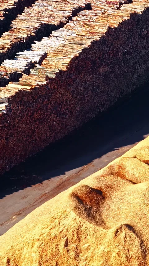 Massive timber log pile next to mound of golden sawdust at lumber yard Stock Footage 336718076