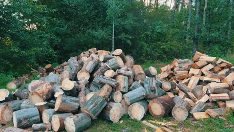 Massive Timber Logs Stockpile Ready for Processing | Large Scale Wood Harvesting Stock Footage 315534953
