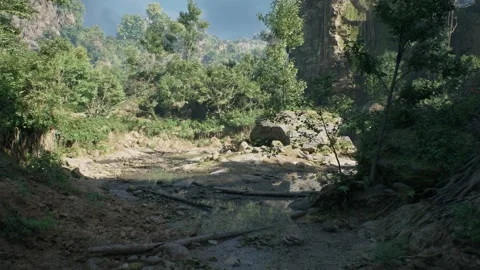 Massive Tree In Amazonia Deep Jungle Stock-Footage 259862383