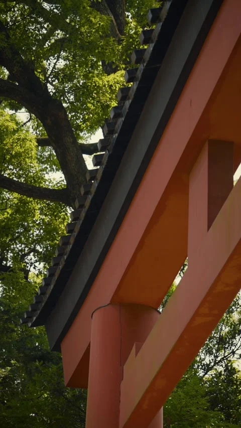Massive vermilion torii gate and green trees at Japanese shrine 库存影片 346263787
