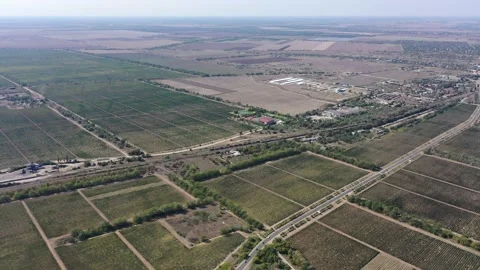 Massive view on the fields shaped like smooth rectangles. Sunny day in country Video stock 141953752