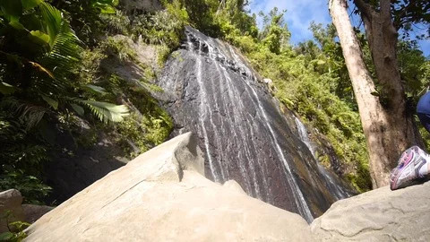 Massive Waterfall Surrounded by Greenery Stock Footage 118547083