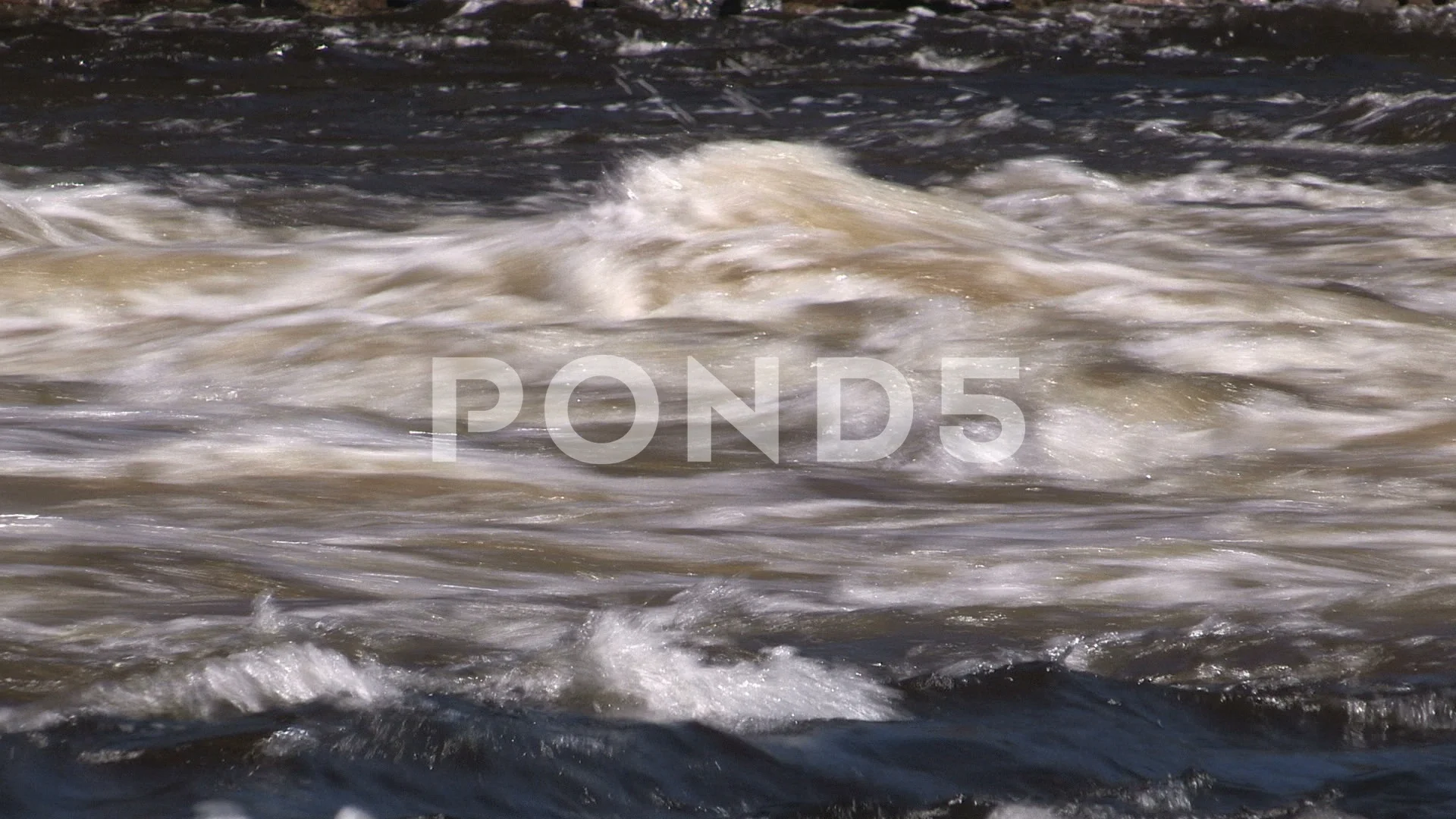 massive torrent massive torrent