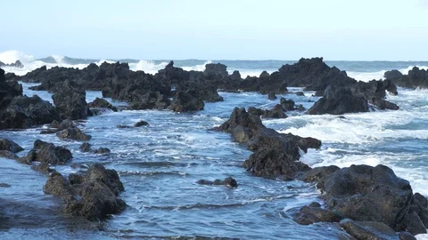 Massive Waves Rolling In Onto Natural Rock Pools, Flores Island, Azores Stock Footage 89374806