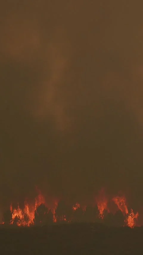 Massive wildfire burning and producing thick smoke Vidéo 340419785