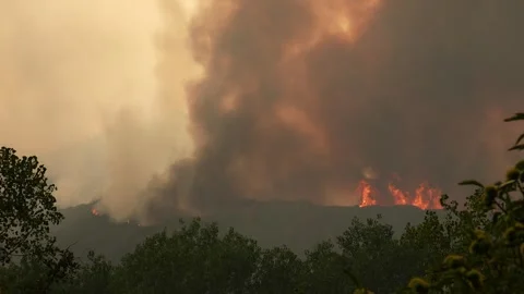 Massive wildfire burning a forest on a mountain Vidéo 340418296