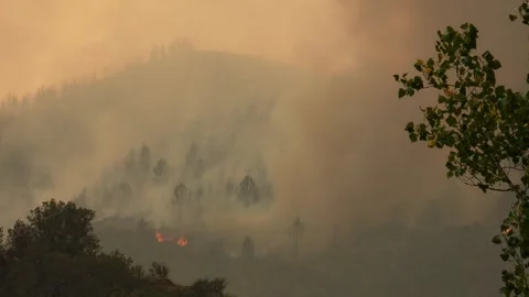 Massive wildfire burning a hillside forest Vidéo 340418233