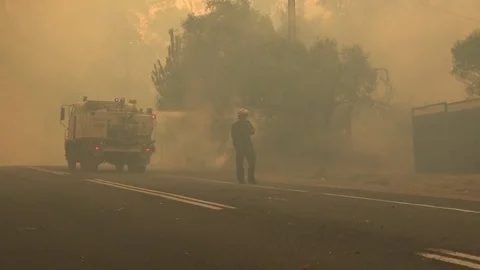 A massive wildfire burning in the outback of Australia. 库存影片 75710115
