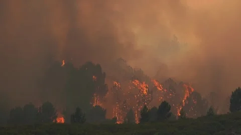 Massive wildfire consuming mountainside forest, generating dense smoke plume Video stock 315170385