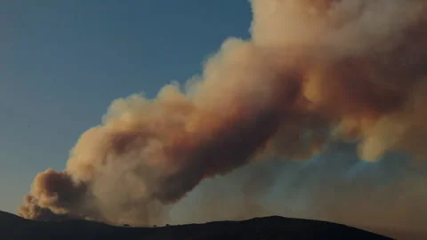 Massive wildfire engulfs mountain with immense smoke columns rising into sky Stock Footage 319077229