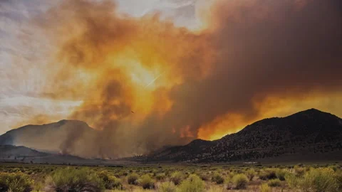 Massive wildfire producing thick orange smoke Vídeos de archivo 332963308