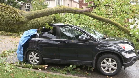 Massive wind and thunder storm causes  destruction and damage in city of Toronto Stock Footage 81116488