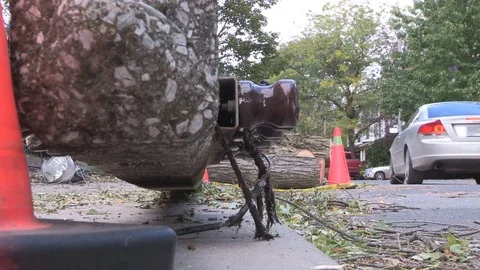 Massive wind and thunder storm causes  destruction and damage in city of Toronto Stock Footage 81157148