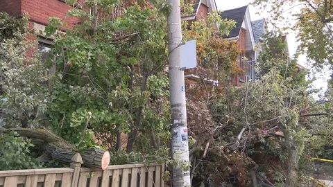 Massive wind and thunder storm causes  destruction and damage in city of Toronto Stock Footage 81157515