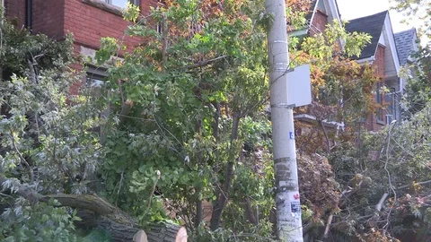 Massive wind and thunder storm causes  destruction and damage in city of Toronto Stock Footage 81157613