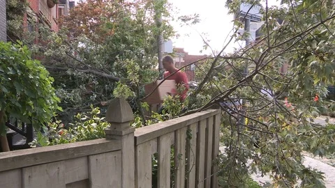 Massive wind and thunder storm causes  destruction and damage in city of Toronto Stock Footage 81158185