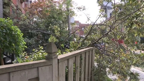Massive wind and thunder storm causes  destruction and damage in city of Toronto Stock Footage 81158264
