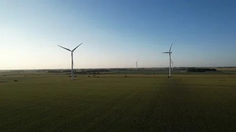 Massive wind turbines turning above cornfield (Aerial 4K drone video) 스톡 동영상 170091830