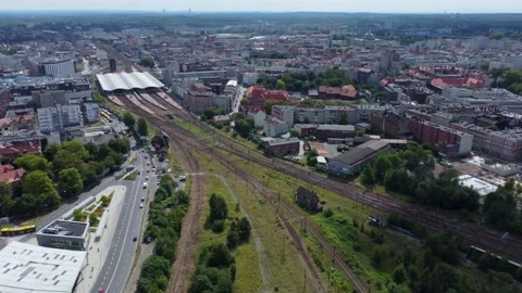 Massively cut down trees seen from a drone. Katowice/Poland-08/06/2024 Video stock 281098875