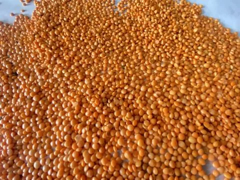 Massor dal m Stock Photos