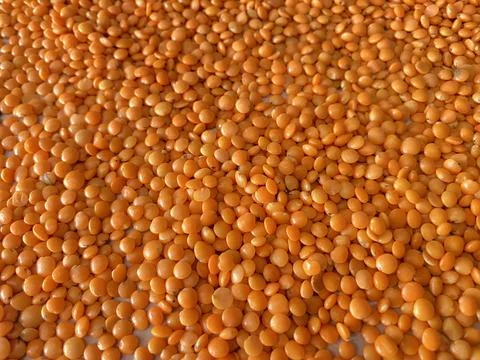 Massor dal more Stock Photos