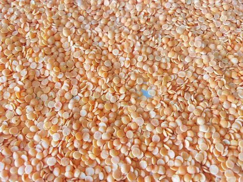 Massor dal white Stock Photos
