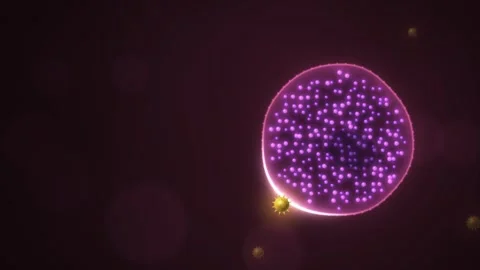 Mast Cell Allergy Reaction Pollen Trigger Seamless Loop Stock Footage 347010872