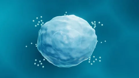 Mast cell animation Stock Footage 160359856