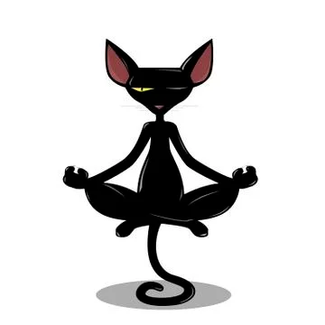 Master Cat Stock Illustration