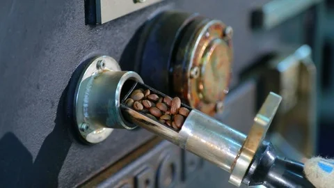 Master checks the degree of roasting coffee beans. Slow-motion. Stock Footage 72707691