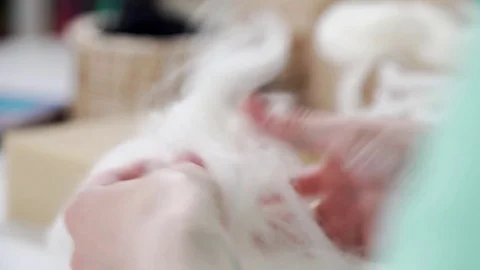 Master class on creation of handmade wool products (toy, applications) Stock-Footage 79407479