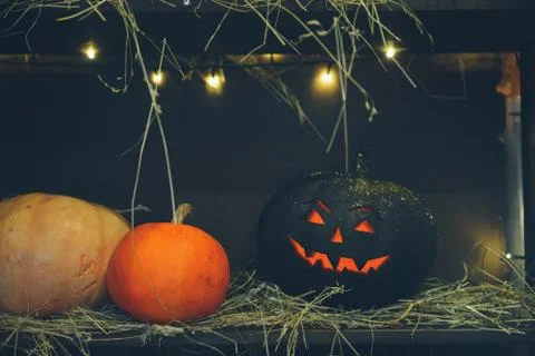 Master class Halloween decorative pumpkins made by hands Stock Photos