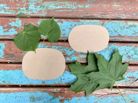 Master class how to make a bee from natural materials and cardboard recycling Stock Photos