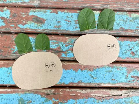 Master class how to make a bee from natural materials and cardboard recycling Stock Photos