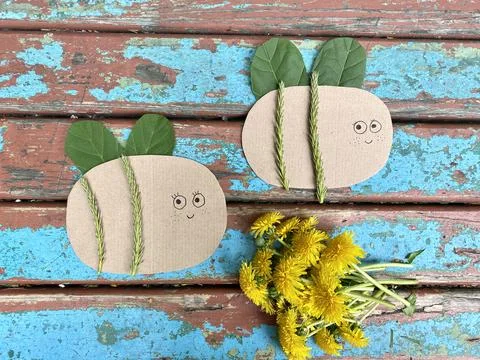 Master class how to make a bee from natural materials and cardboard recycling. Stock Photos