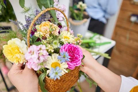 Master class on making bouquets. Spring bouquet in wicker basket. Learning Stock Photos
