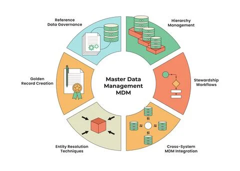 Master Data Management MDM Infographic with Circle or Circular Diagram. Con.. Stock Illustration