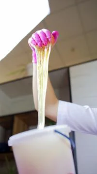 Master of depilation sugaring Foto stock
