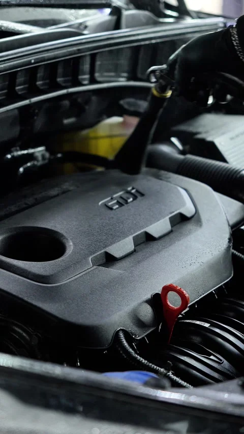 Master detailer dries the engine and engine compartment of the car with a spray. Stock Footage 328581408