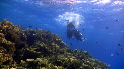 Master diver teaches students to dive, red sea 스톡 동영상 7902802