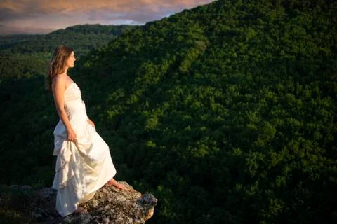Master of the forest Stock Photos